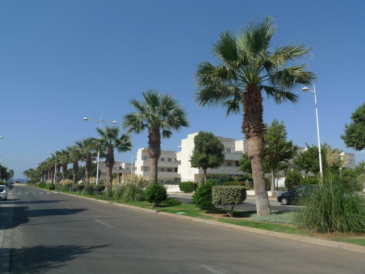 Apartamento Tania - El Toyo - Cabo De Gata レタマル エクステリア 写真